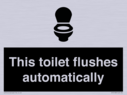 this-toilet-flushes-automatically~